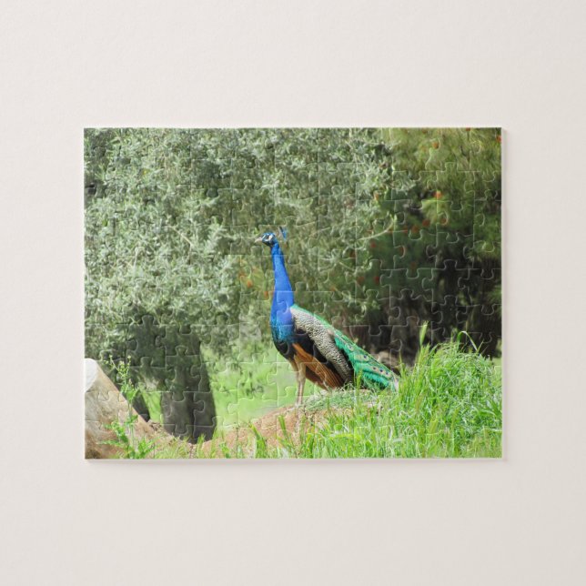 Puzzle - Pfau auf dem Hügel (Horizont) (Horizontal)
