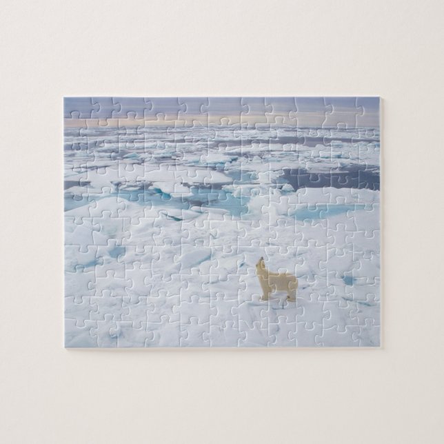 Puzzle-Polar Puzzle (Horizontal)