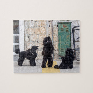 Puzzle-Puzzle Puzzle