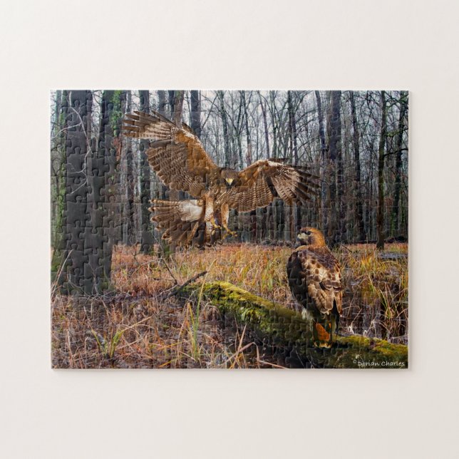 Puzzle "Red-Tail-Falken" (Horizontal)