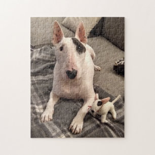 Puzzle Rex und Ditto