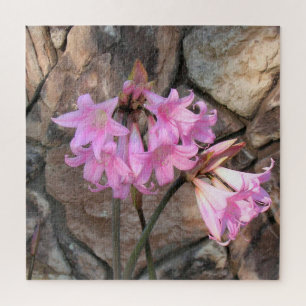 Puzzle - Rosa Amaryllis