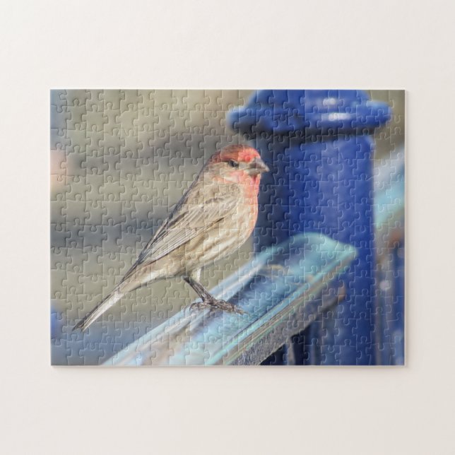 Puzzle - Roter Sparrow auf blauem Zaun (Horizontal)