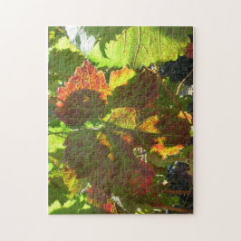 Puzzle - Roter Weinleder