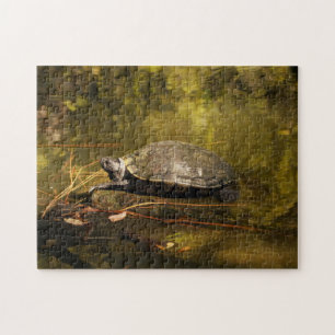 Puzzle - Schildkröte beim Login Pond