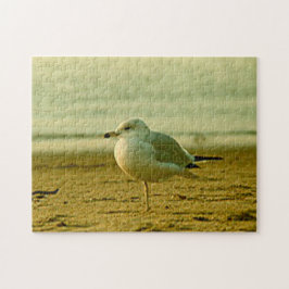 Puzzle - Seagull bei Sonnenuntergang