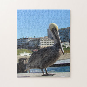 Puzzle - Single Pelican am Pier