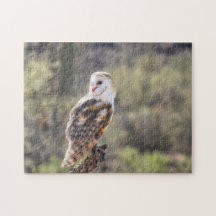 Puzzle: Stallhuhn 1