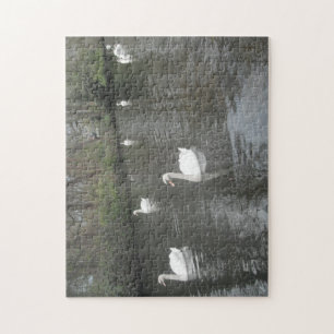 Puzzle Swans Schwimmen