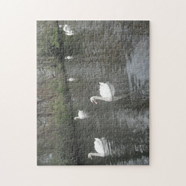 Puzzle Swans Schwimmen (Vertikal)