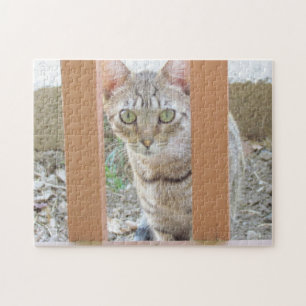 Puzzle - Tabby Kitten durch Reiten