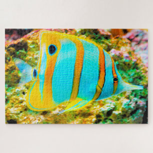 Puzzle Tropical Fish