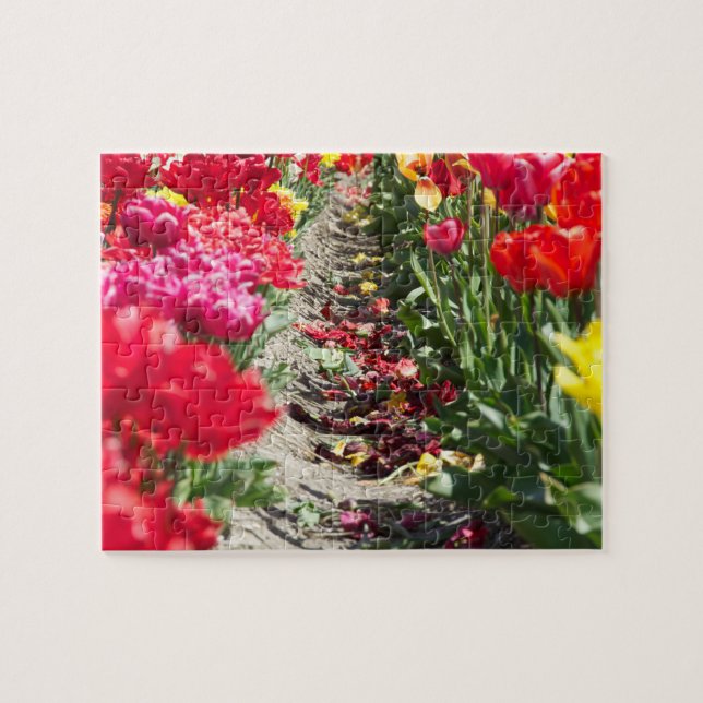 Puzzle-Tulpen Puzzle (Horizontal)