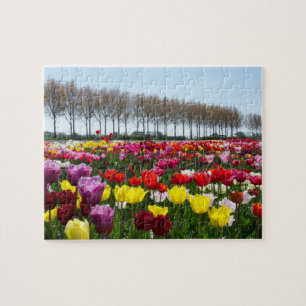Puzzle Tulpen Quelle ist in der Luft