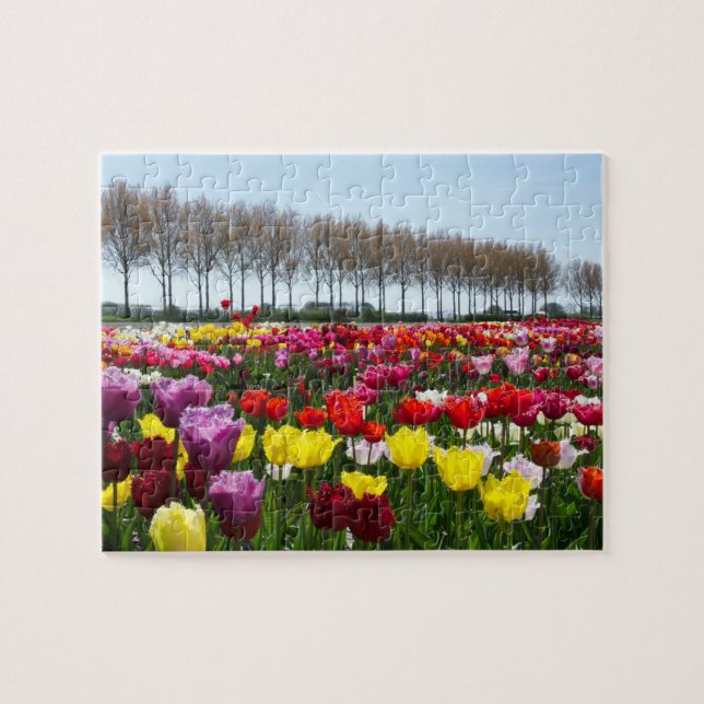 Puzzle Tulpen Quelle ist in der Luft (Horizontal)