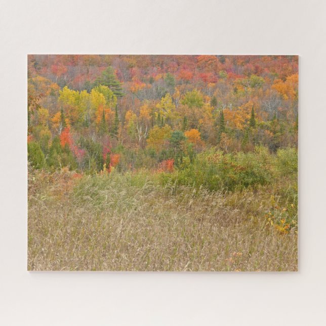 PUZZLE/"VIBRANT LANTRYSIDE IN FALL" PUZZLE (Horizontal)