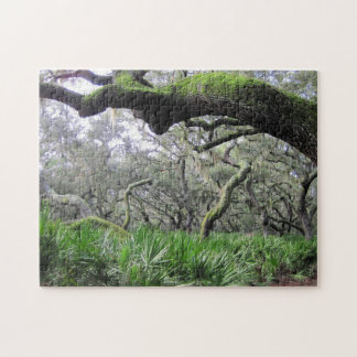 Puzzle von Cumberland Island Forest