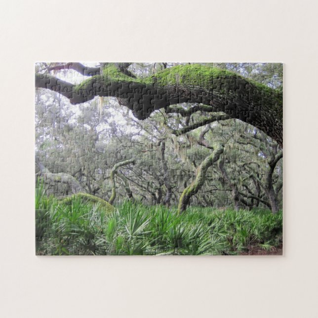 Puzzle von Cumberland Island Forest (Horizontal)