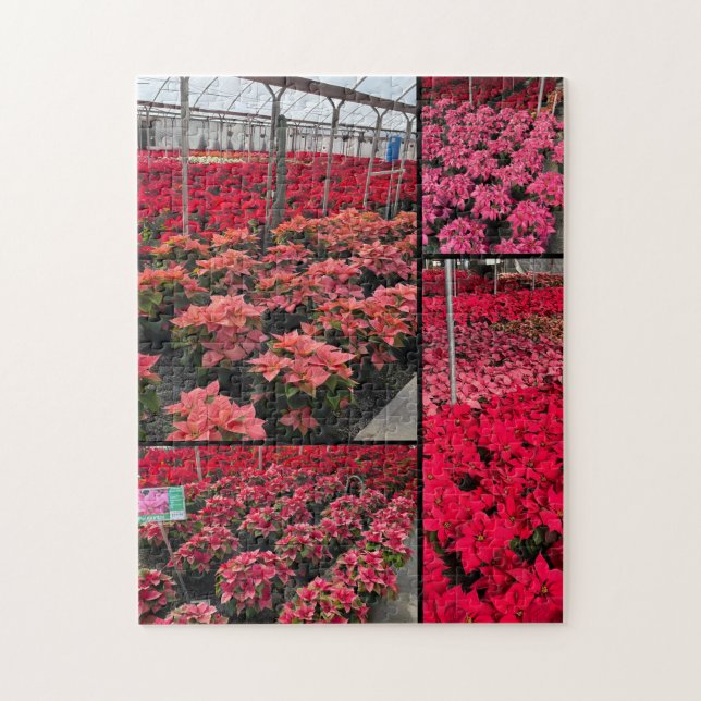 Puzzle Weihnachtsstern Gewächshaus Rote Blumen (Vertikal)