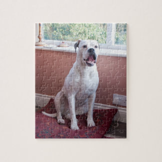 Puzzle: Weißer Boxer-Hund Puzzle