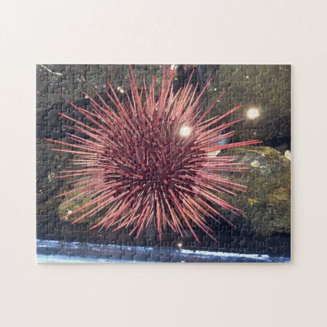 Puzzle "White Sea Urchin 252" (Horizontal)