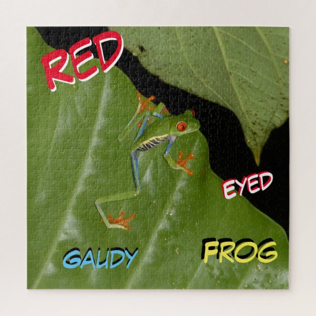 Puzzle Wildtiere: Red Mit Augen Gaudy Frog Jigsaw  (Vertikal)