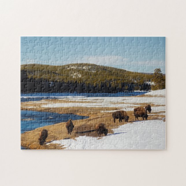 Puzzle Yellowstone Buffalo (Horizontal)