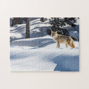Puzzle Yellowstone Coyote