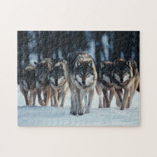 Puzzle Yellowstone Wolves
