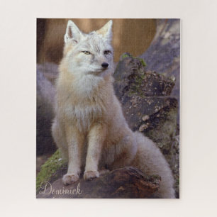 Puzzles Corsac Fox