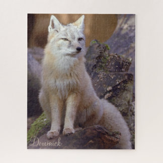Puzzles Corsac Fox