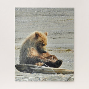 Puzzlespiel 16x20 des Grizzlybärjungen Puzzle