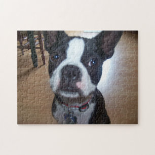 PUZZLESPIEL BOSTONS TERRIER PUZZLE