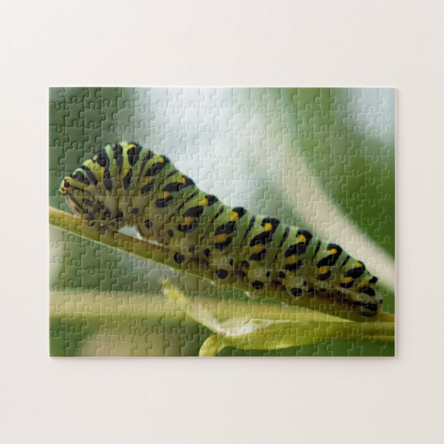 Puzzlespiel der Raupen-10x14 Puzzle (Horizontal)