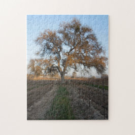 Puzzlespiel: Eiche inVineyard mit Mistelzweig Puzzle