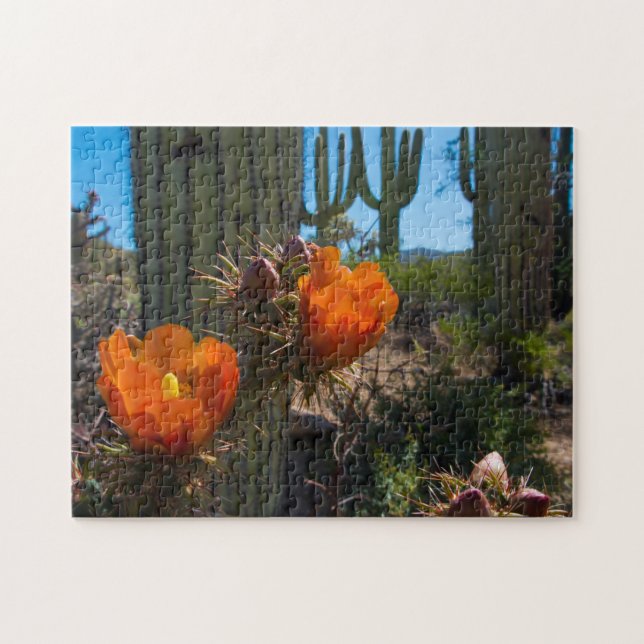 Puzzlespiel - Kakteen - Blumen - Arizona Puzzle (Horizontal)