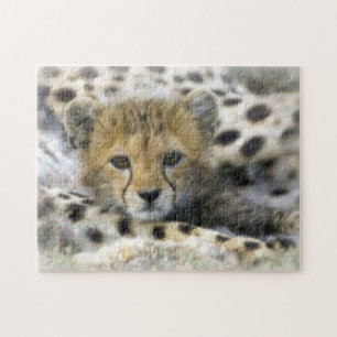 Puzzlespiel mit Geschenkboxen/Cheetah CUB Puzzle