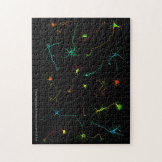 Puzzlespiel NeuroStage3 Puzzle