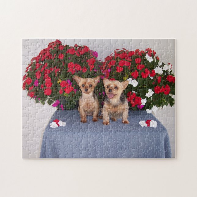 Puzzlespiel Yorkshires Terrier Puzzle (Horizontal)