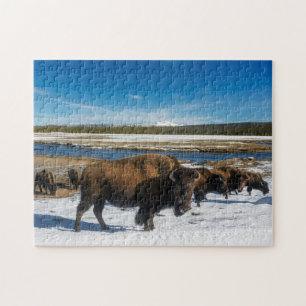 Puzzlespielyellowstone-Büffel Puzzle