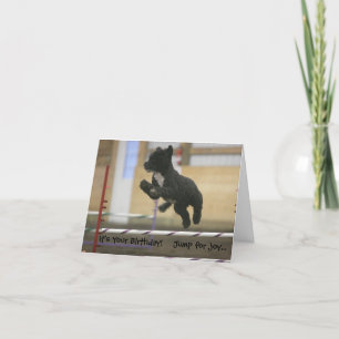 PWD Agility Jump Geburtstagskarte Karte