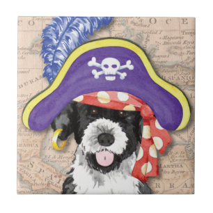 PWD Pirate Fliese
