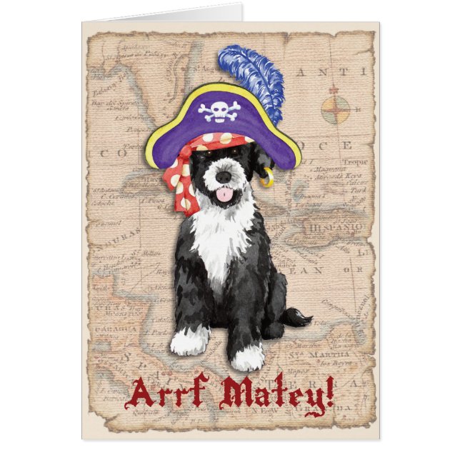 PWD-Piratenkarte (Vorne)