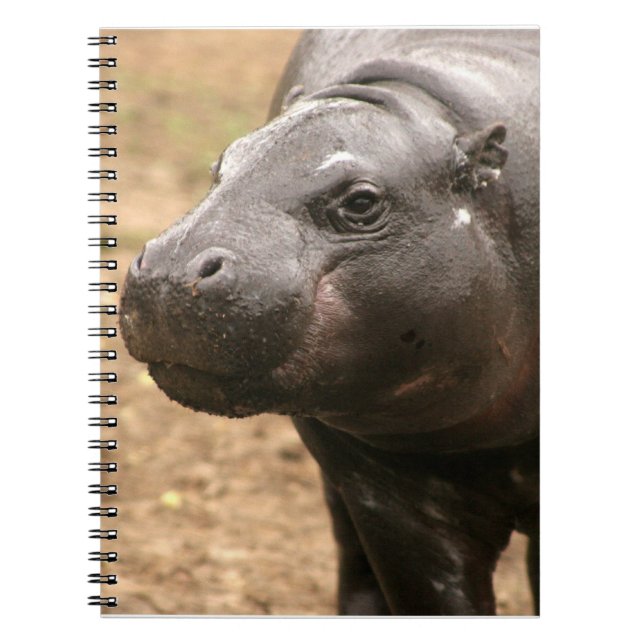 Pygmäenflusspferd-Notizbuch Notizblock (Vorderseite)