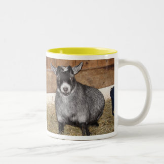 Pygmäenziege, nicht eine Morgenperson Zweifarbige Tasse