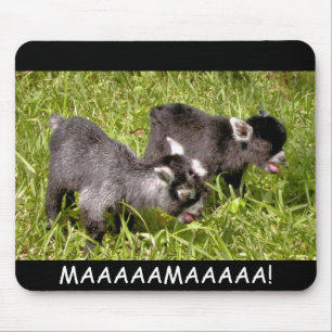 Pygmäenziegenkinder. MAAAAAMAAAAA! Mausunterlage Mousepad