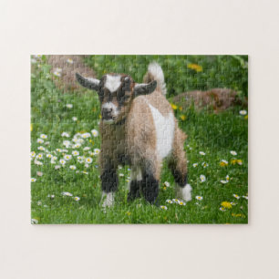 Pygmy Dwarf Goat Kid in Flowers Puzzle