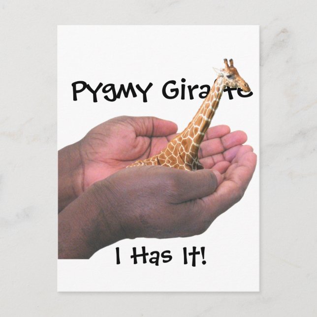 Pygmy Giraffe Postkarte (Vorderseite)