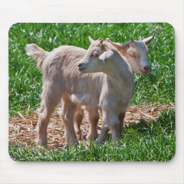 Pygmy Goat Kids Mousemat Mousepad (Vorne)