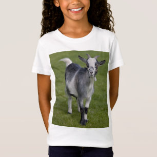 Pygmy Goat T-Shirt